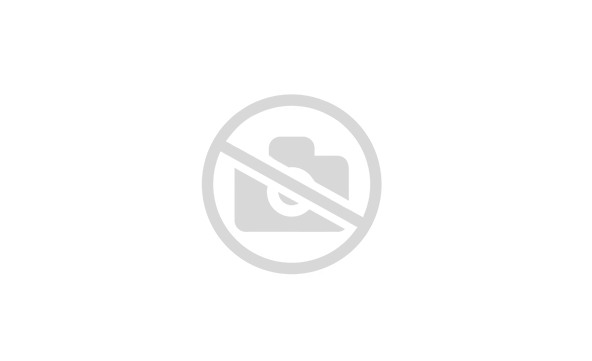 Лист плоский (ПЭ-01-3020-0.5)